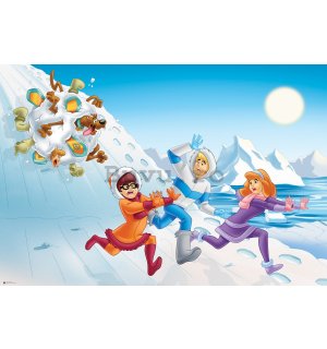 Fototapet: Scooby-Doo (bulgăre de zăpadă) - 368x254 cm
