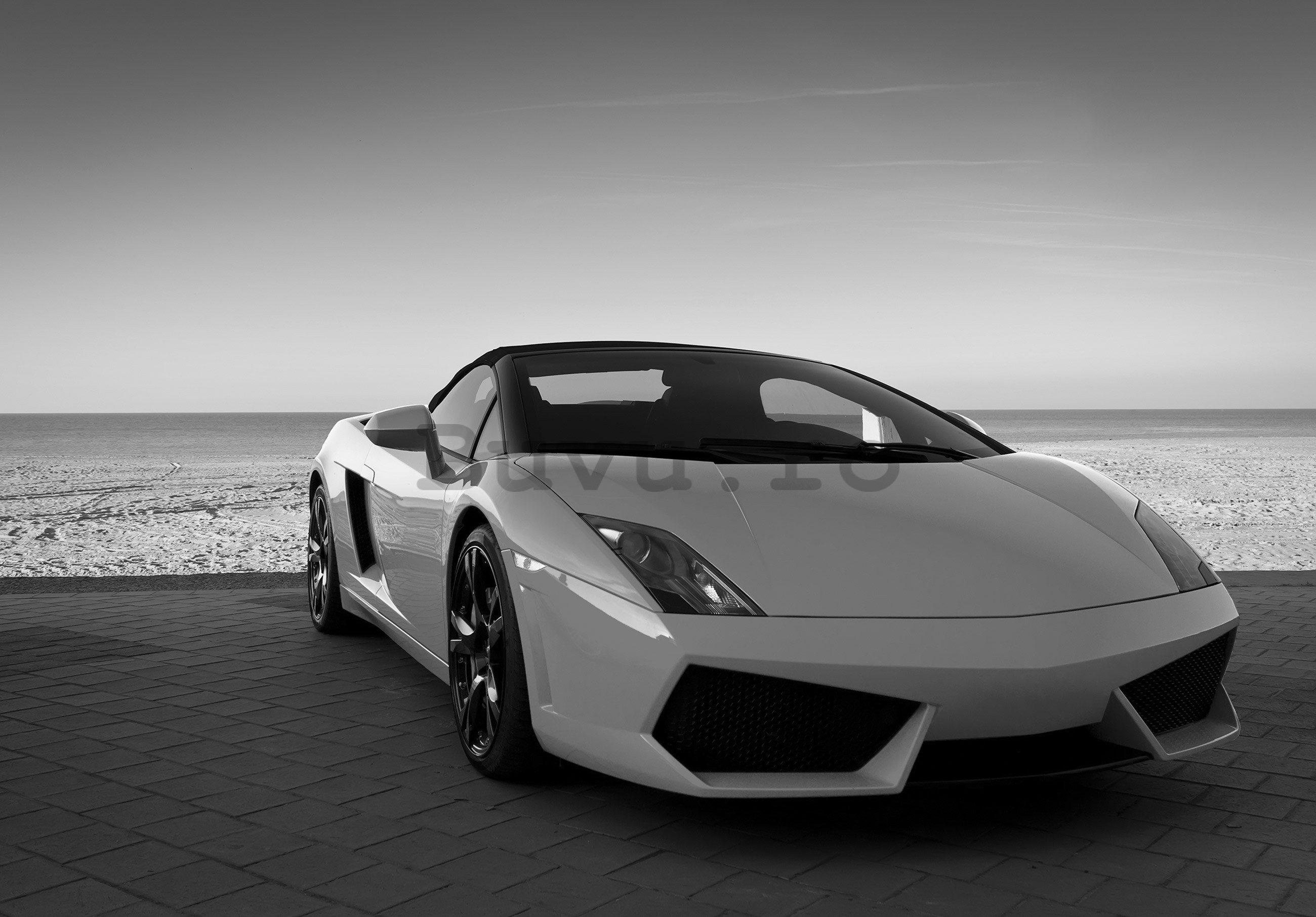 Fototapet vlies: Lamborghini alb-negru - 254x184 cm