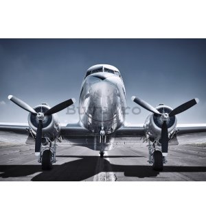 Fototapet: Avioane istorice - 368x254cm