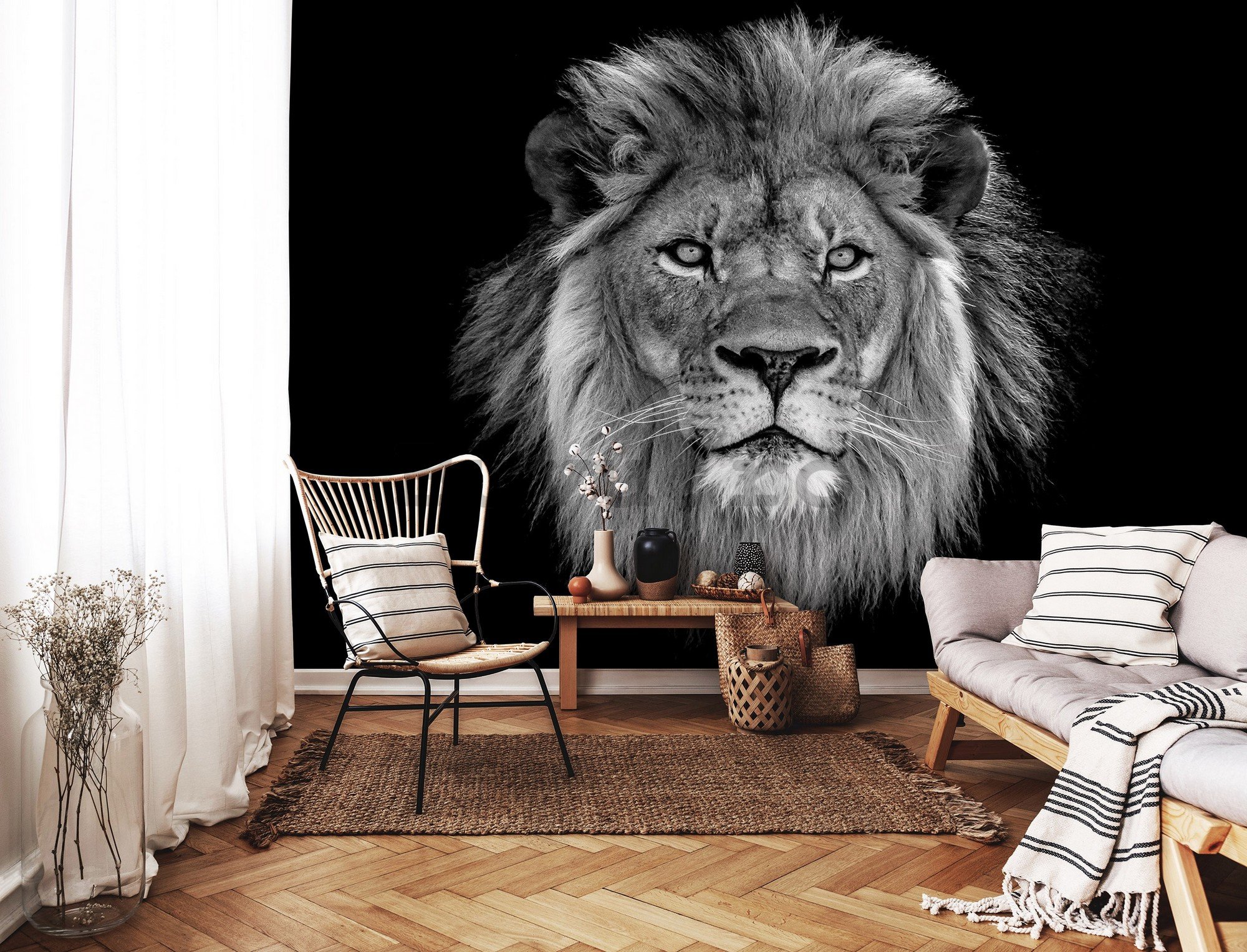 Fototapet vlies: Leu alb-negru - 152,5x104 cm