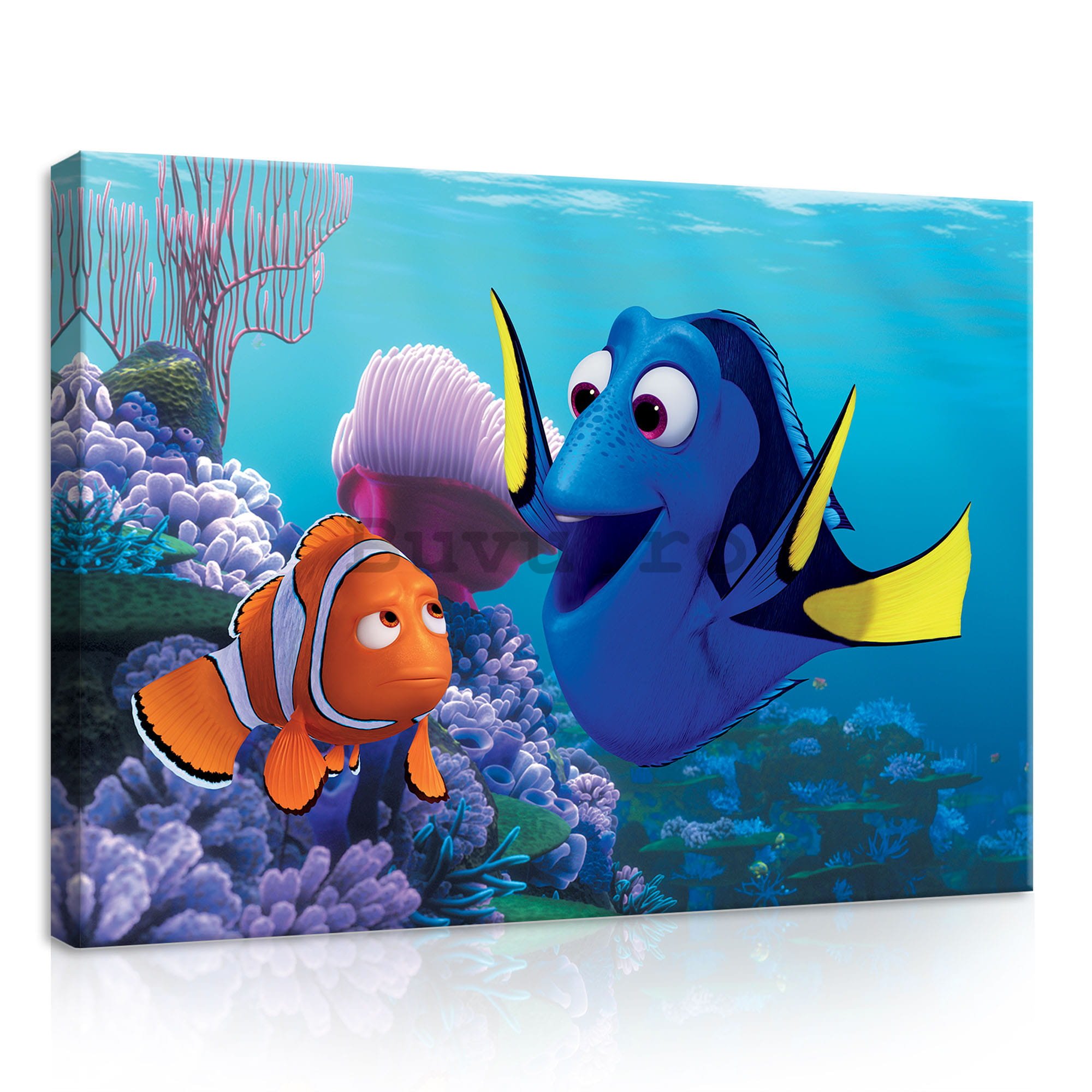 Tablou canvas: În căutarea lui Nemo (Marlin & Dory) - 35x25 cm