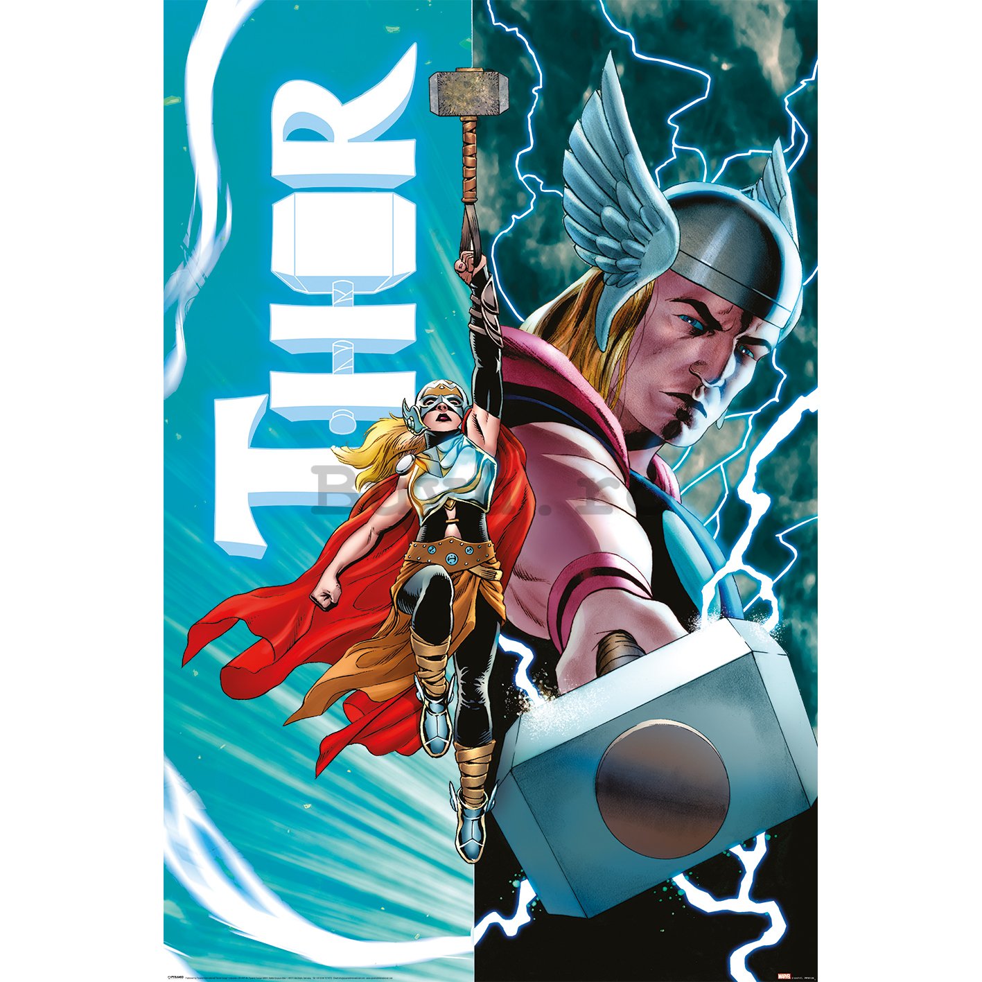 Poster - Thor (Thor Vs Female Thor)