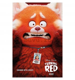 Poster - Turning Red (Red Panda Mei)
