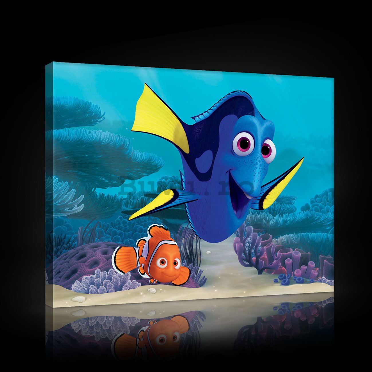 Tablou canvas: În căutarea lui Nemo - 60x40 cm