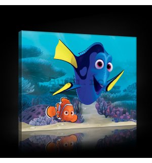 Tablou canvas: În căutarea lui Nemo - 60x40 cm