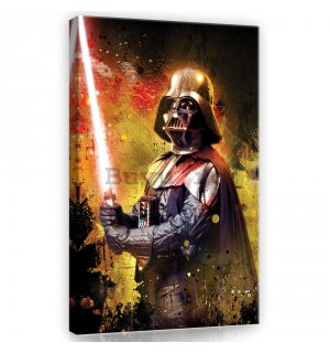 Tablou canvas: Darth Vader - 40x60 cm