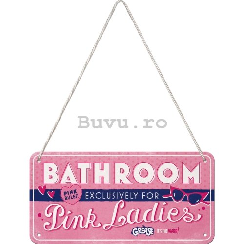 Placa metalica cu snur: Pink Ladies Bathroom - 20x10 cm