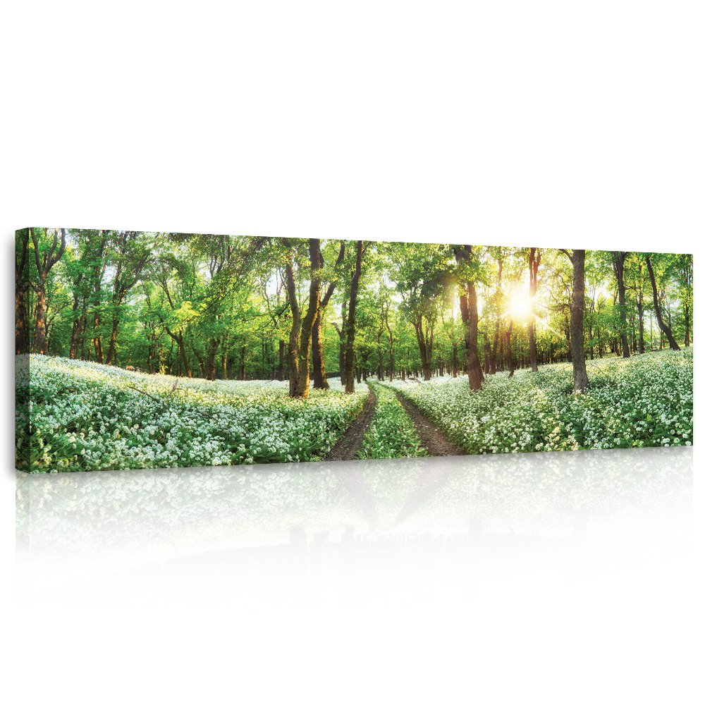 Tablou canvas: Calea forestieră înflorită - 145x45 cm