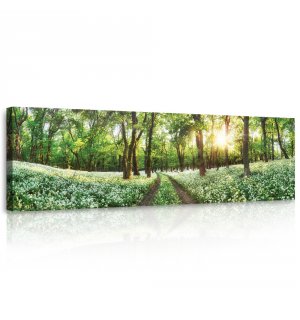 Tablou canvas: Calea forestieră înflorită - 145x45 cm