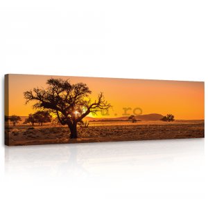 Tablou canvas: Savanna (Acacia erioloba) - 145x45 cm