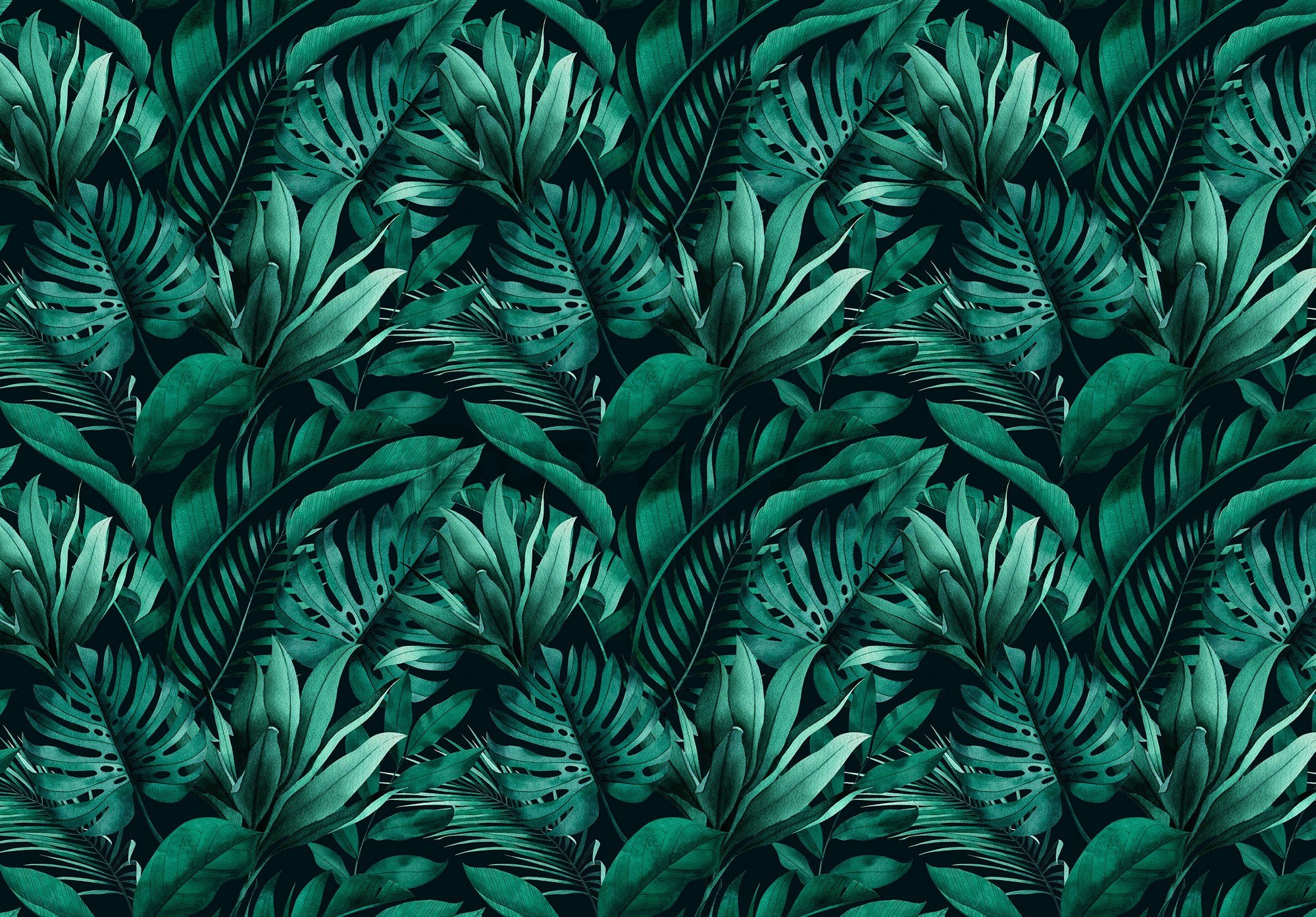 Fototapet vlies: Frunze tropicale - 254x184 cm