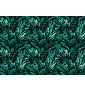 Fototapet vlies: Frunze tropicale - 254x184 cm