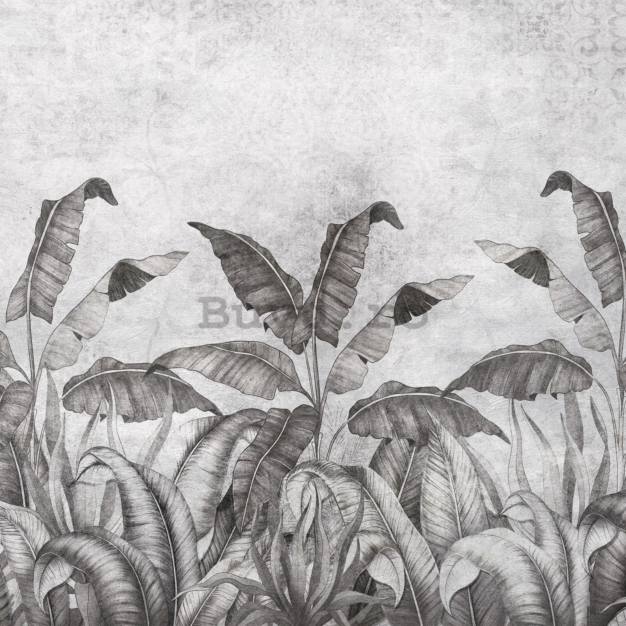 Fototapet vlies: Imitație alb-negru a frunzelor naturale (2) - 254x184 cm