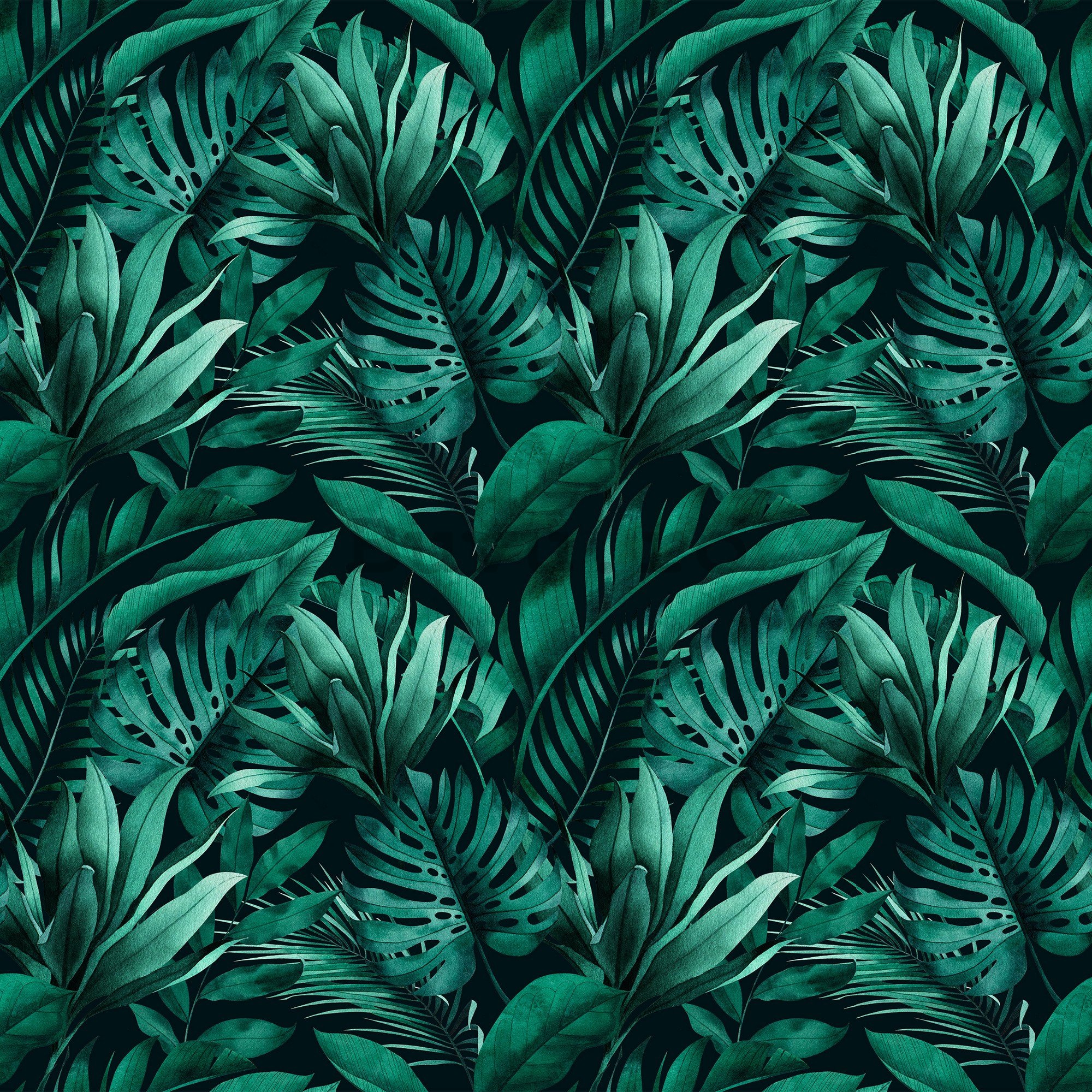 Fototapet vlies: Frunze tropicale - 368x254 cm