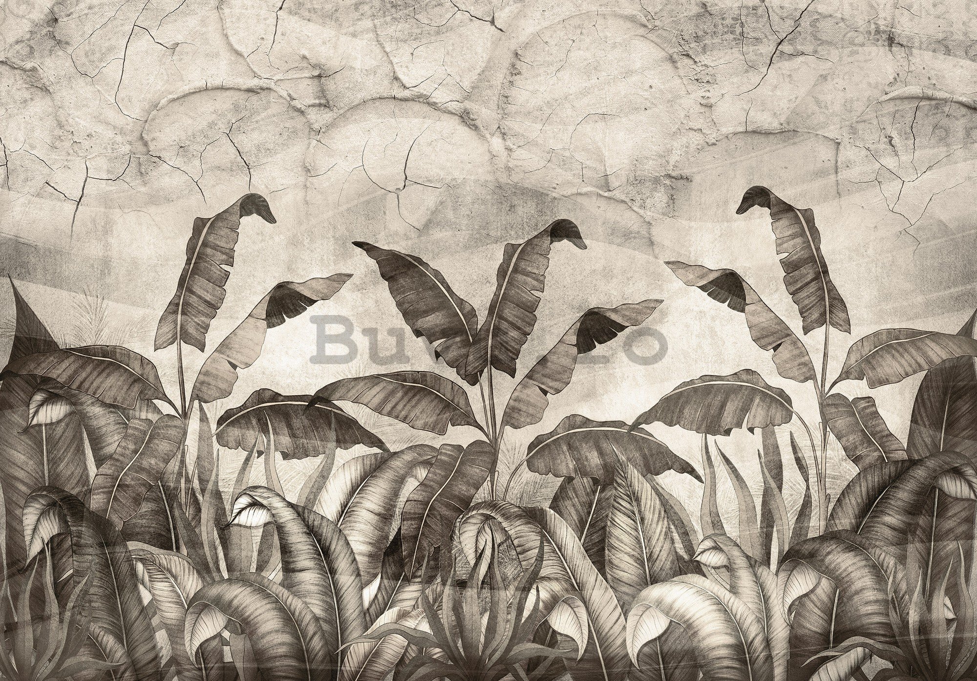Fototapet vlies: Imitație alb-negru a frunzelor naturale - 368x254 cm