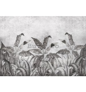 Fototapet vlies: Imitație alb-negru a frunzelor naturale (2) - 368x254 cm
