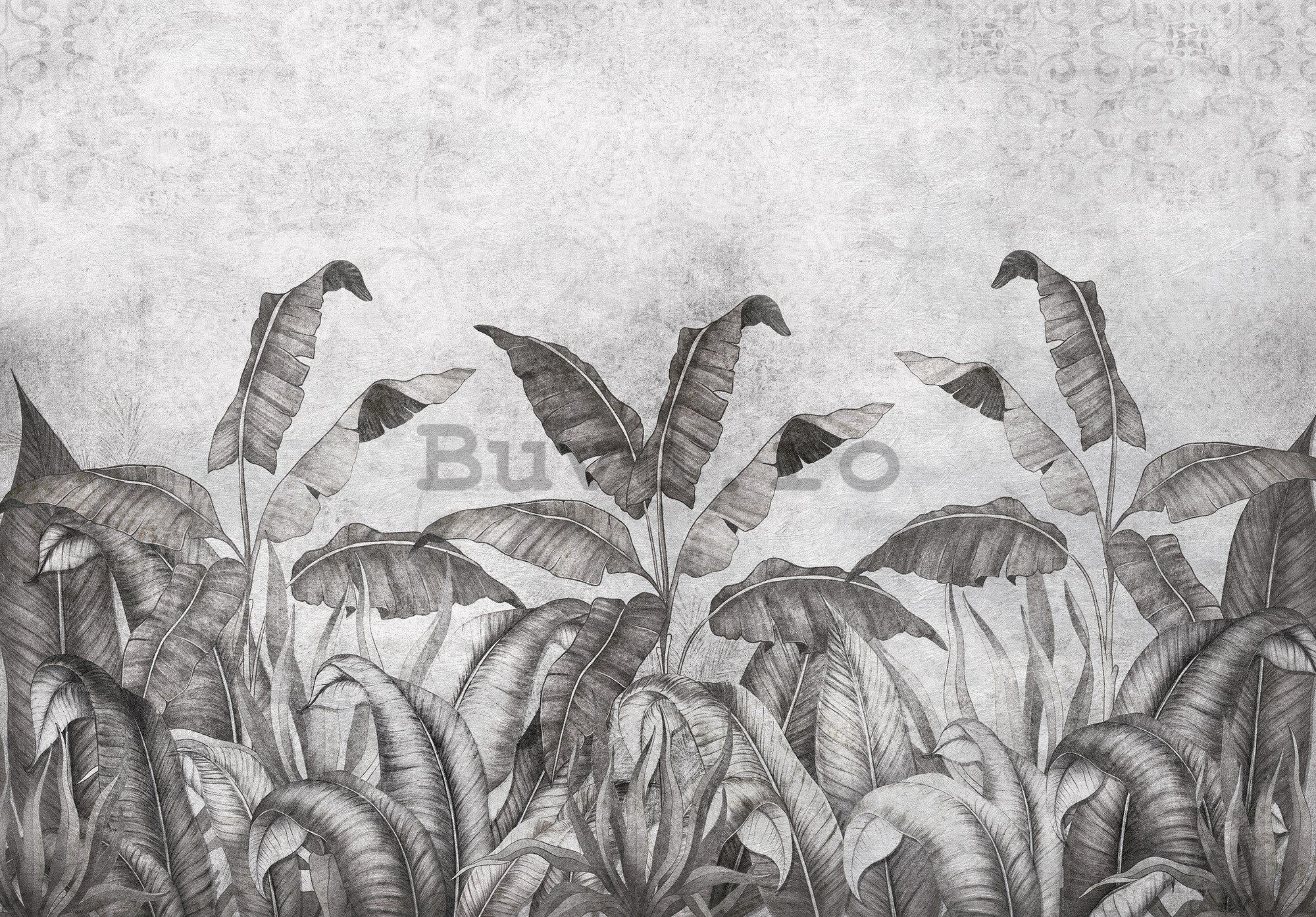 Fototapet vlies: Imitație alb-negru a frunzelor naturale (2) - 416x254 cm