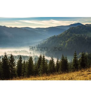 Fototapet vlies: Pădure natură peisaj montan - 254x184 cm