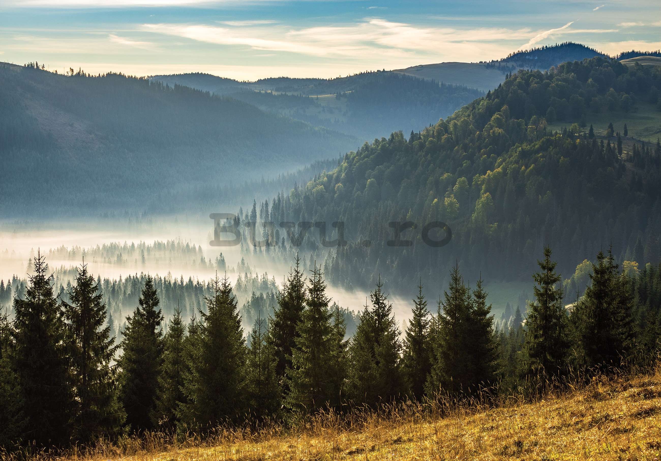 Fototapet vlies: Pădure natură peisaj montan - 368x254 cm