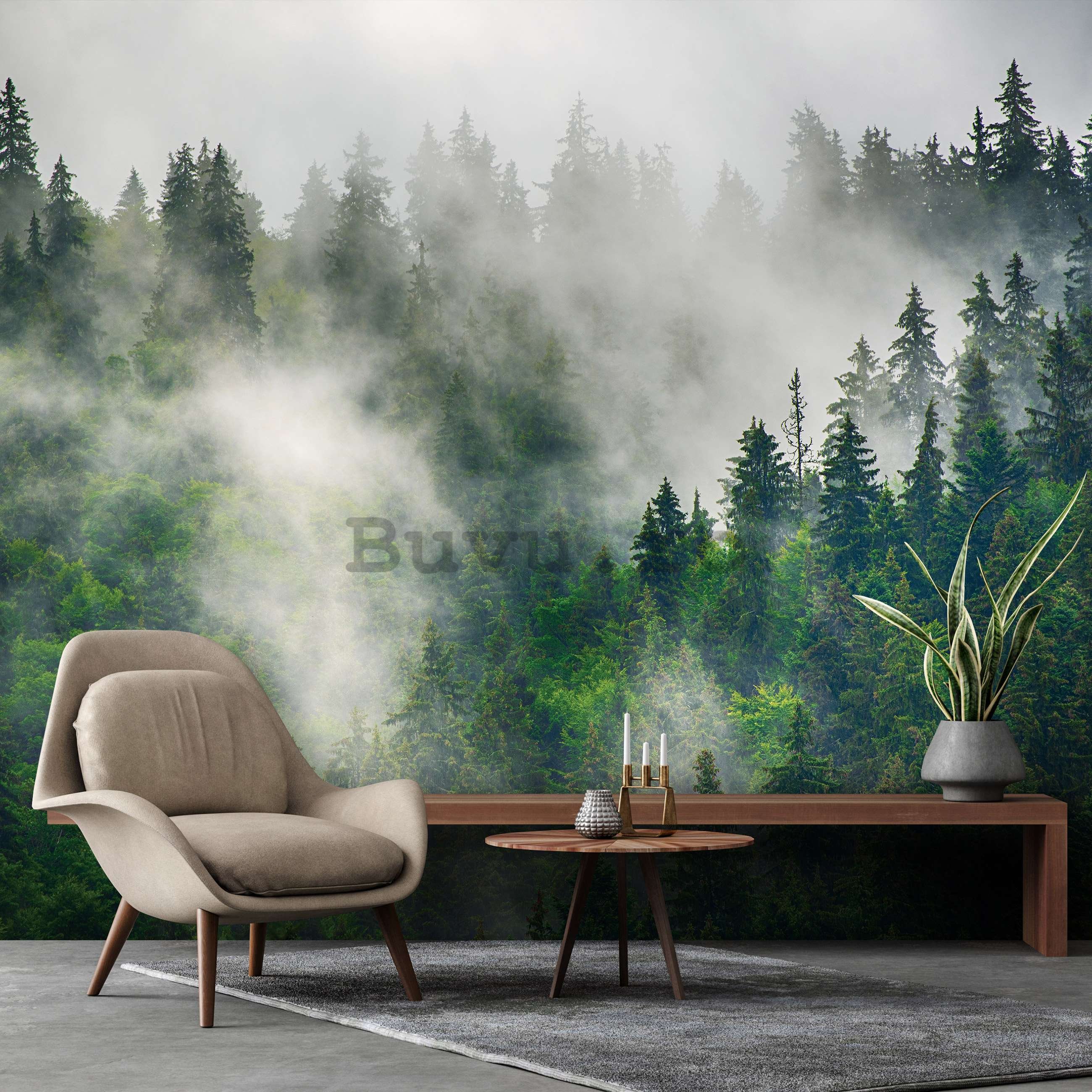 Fototapet vlies: Ceață peste pădure (5) - 368x254 cm