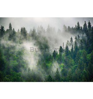 Fototapet vlies: Ceață peste pădure (5) - 104x70,5cm