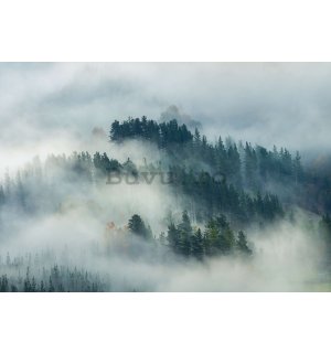 Fototapet vlies: Ceață peste pădure (4) - 416x254 cm