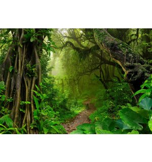 Fototapet vlies: Poteca în pădure - 416x254 cm