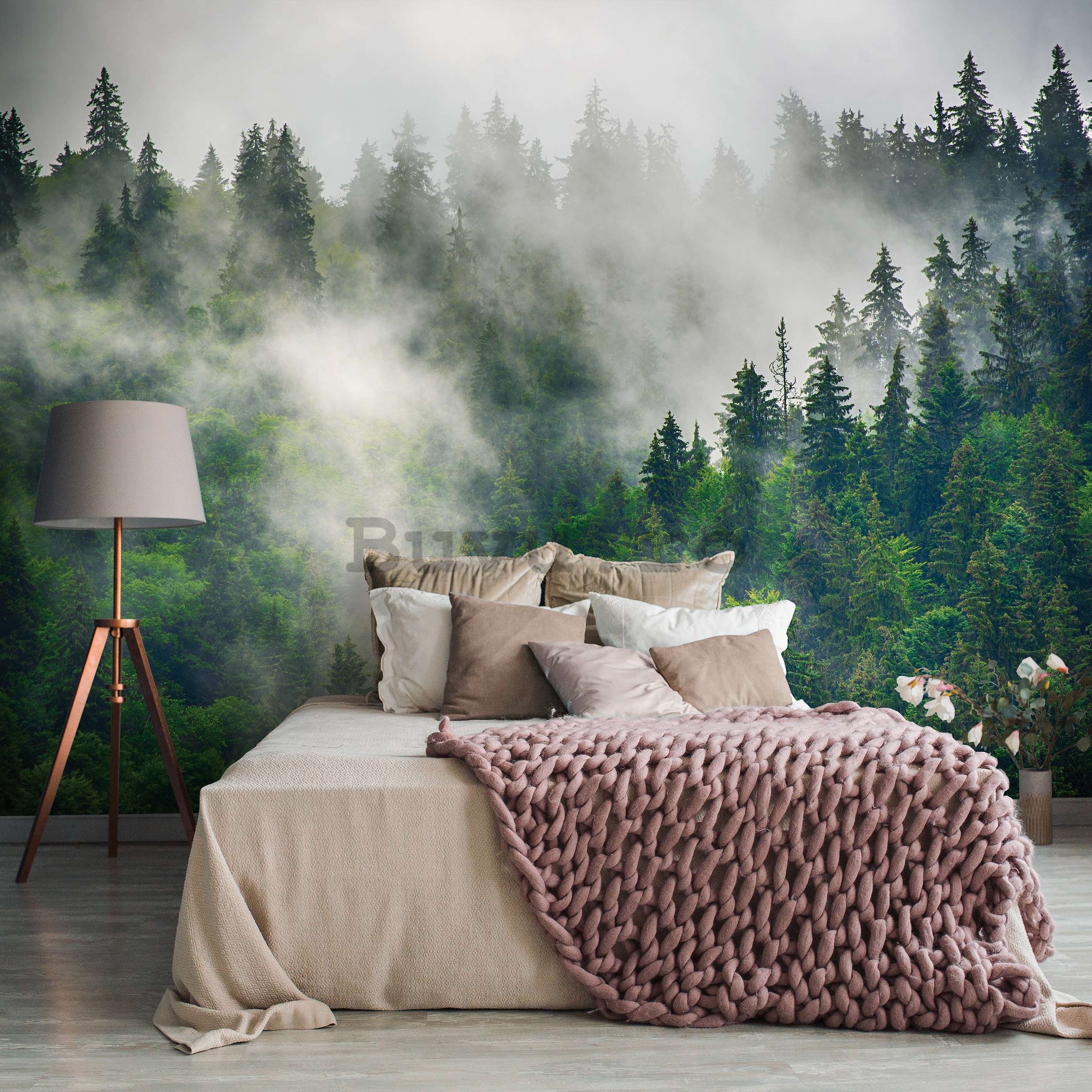 Fototapet vlies: Ceață peste pădure (5) - 416x254 cm