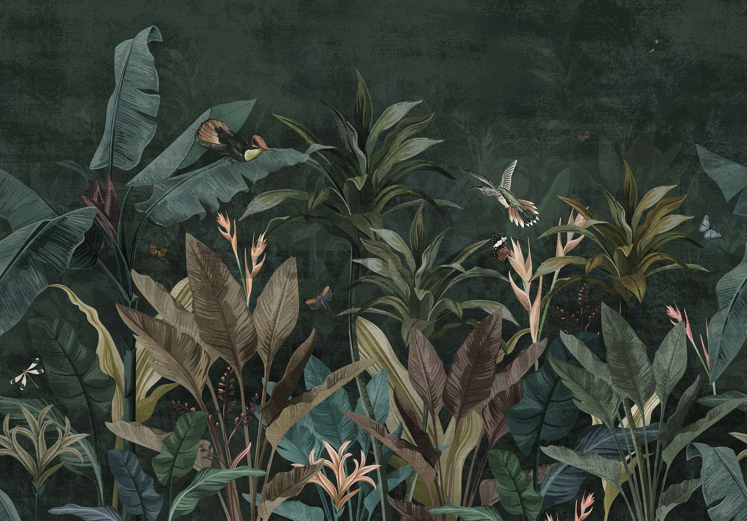Fototapet vlies: Animale în junglă (Păsări și fluturi) - 254x184 cm