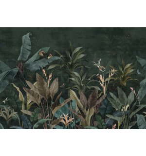 Fototapet vlies: Animale în junglă (Păsări și fluturi) - 254x184 cm
