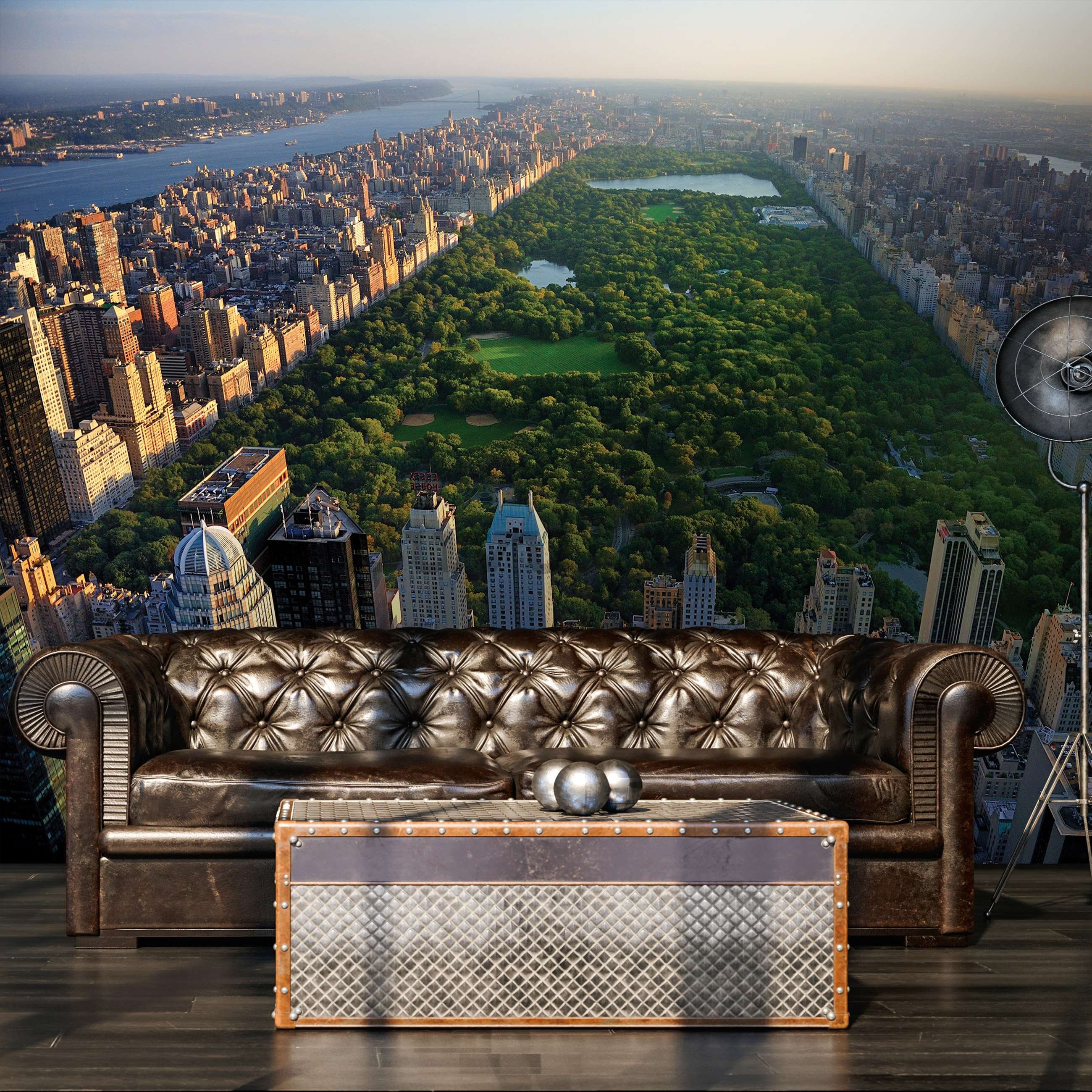 Fototapet vlies: New York Central Park - 254x184 cm