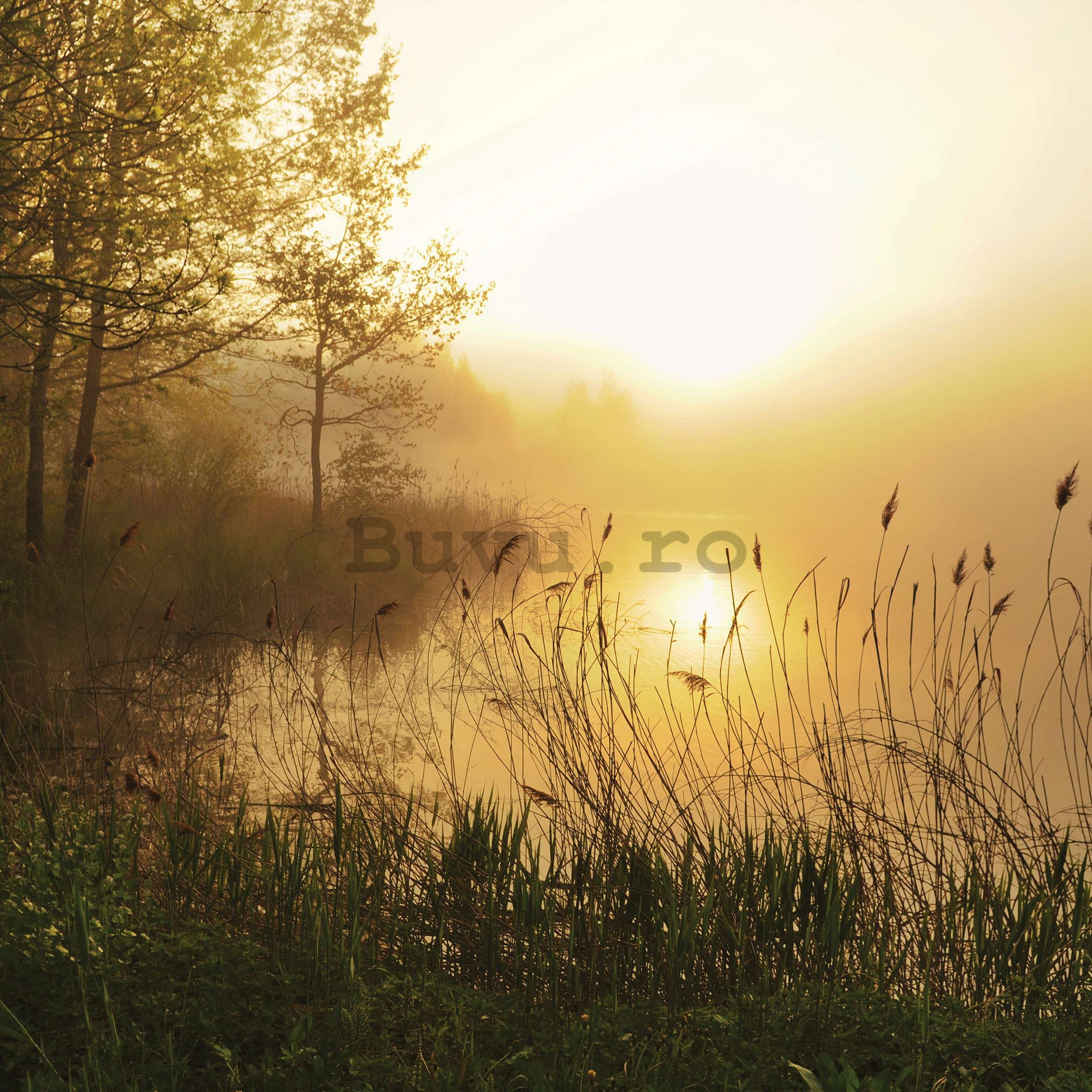 Fototapet vlies: Lac în ceață - 368x254 cm