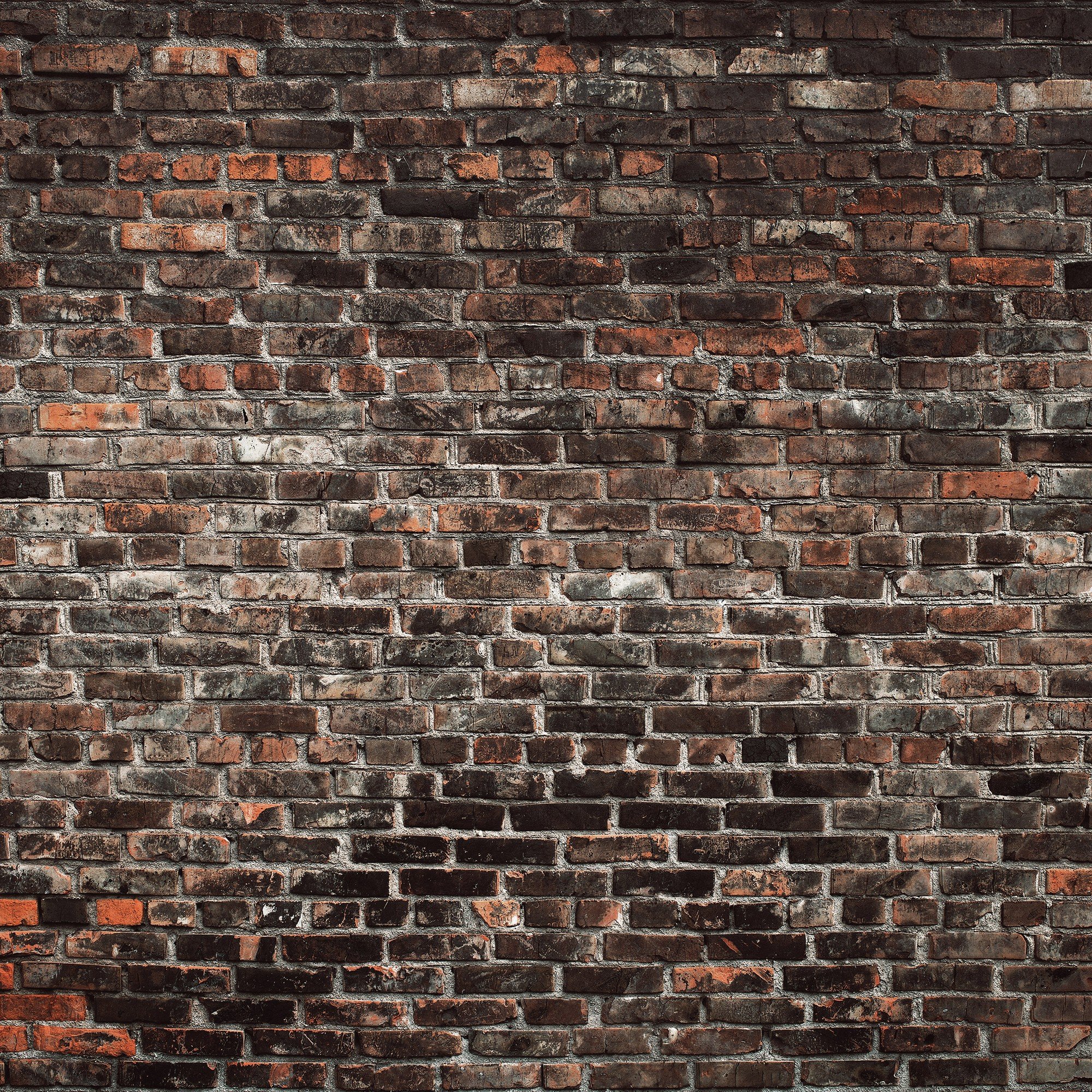 Fototapet vlies: Imitație de zid de cărămidă - 368x254 cm