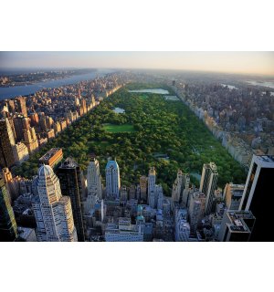 Fototapet vlies: New York Central Park - 152,5x104 cm