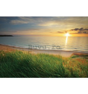 Fototapet vlies: Plajă la apus de soare - 152,5x104 cm