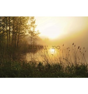 Fototapet vlies: Lac în ceață - 416x254 cm