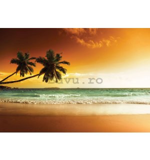 Fototapet vlies: Palmieri și plajă la apus de soare - 416x254 cm