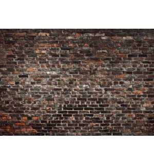 Fototapet vlies: Imitație de zid de cărămidă - 416x254 cm