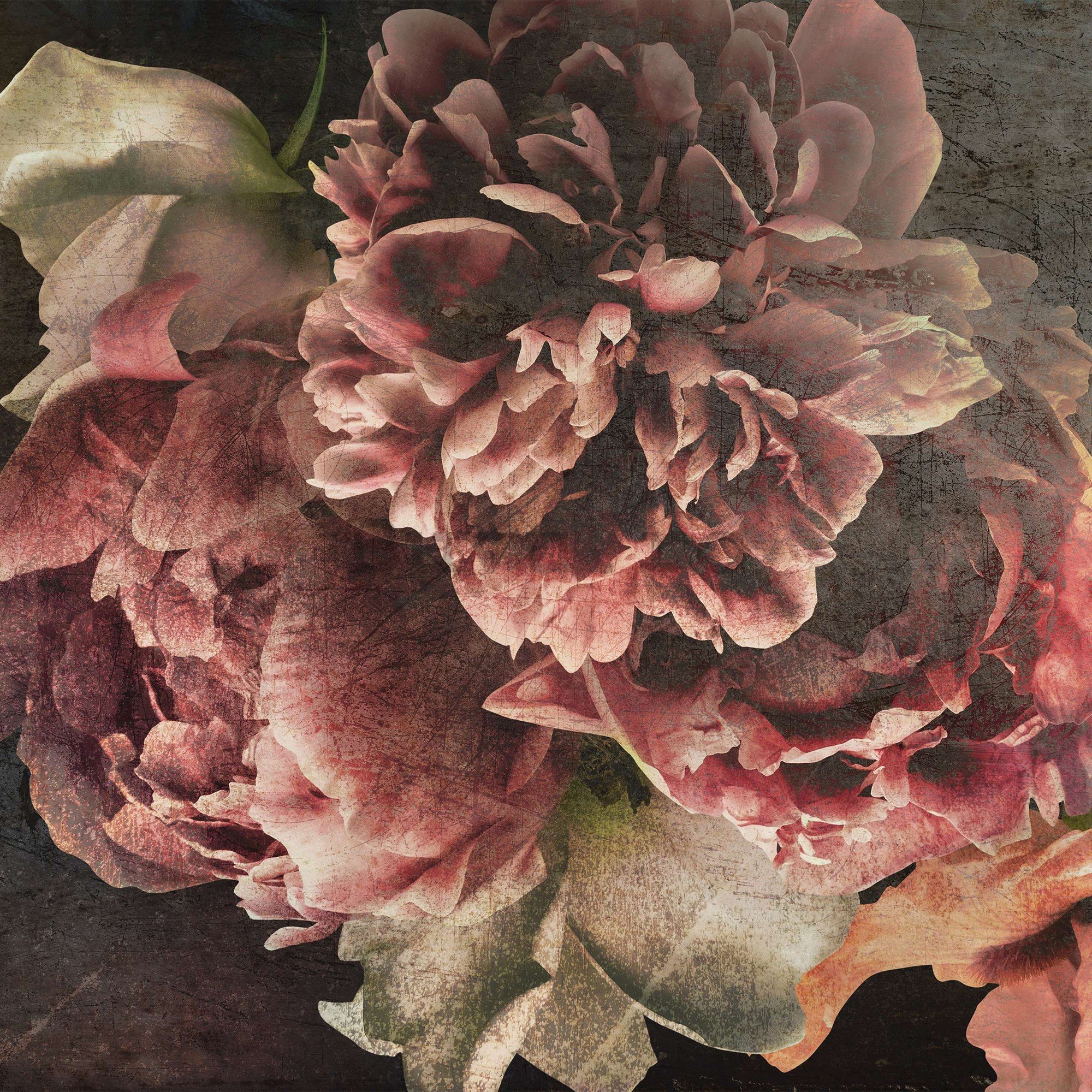 Fototapet vlies: Flori de bujor - 254x184 cm