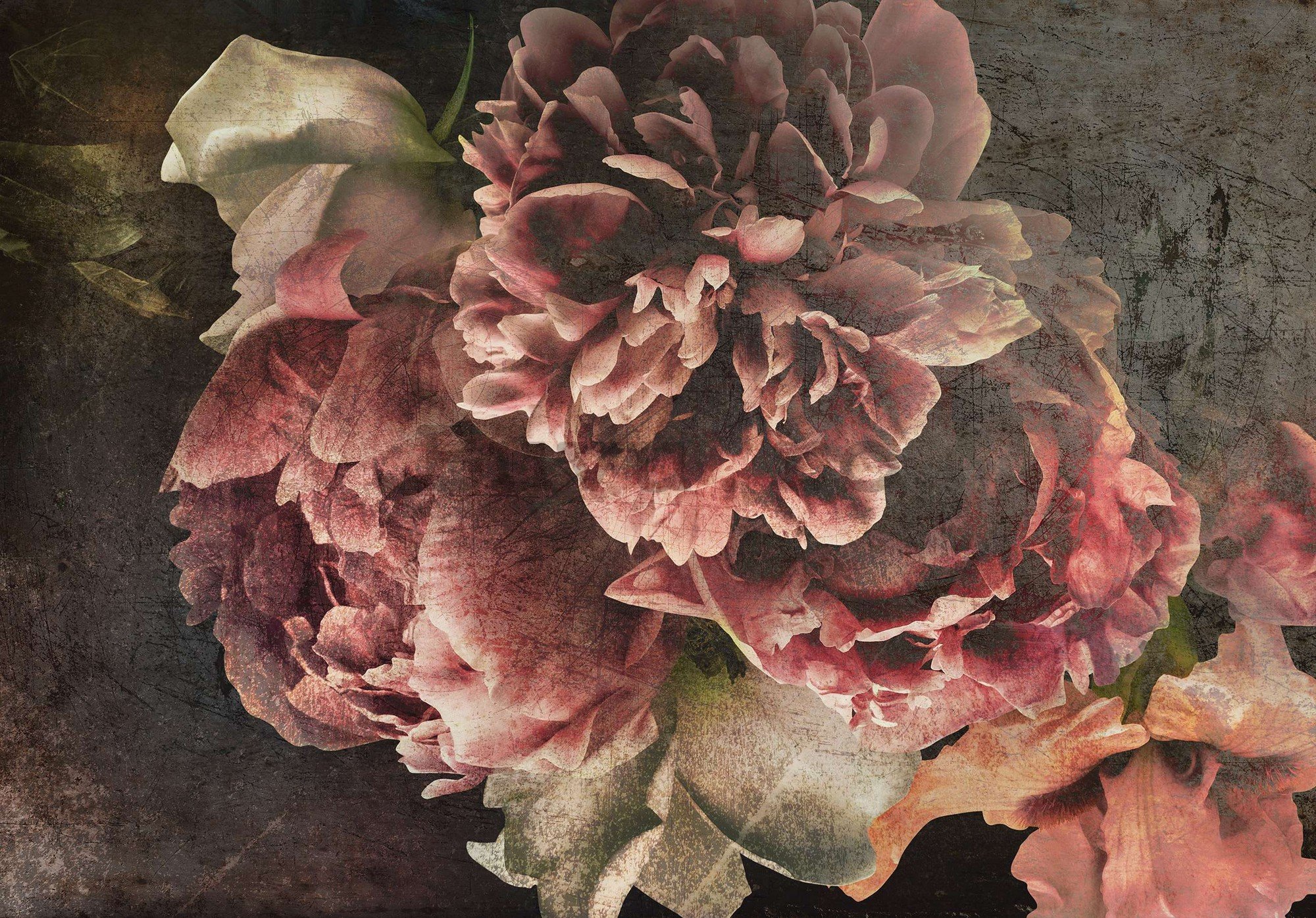 Fototapet vlies: Flori de bujor - 254x184 cm