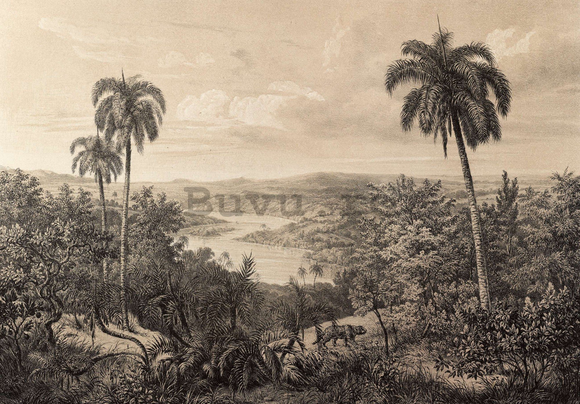 Fototapet vlies: Râul Amazon, litografie - 254x184 cm