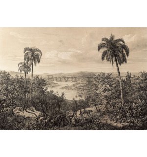 Fototapet vlies: Râul Amazon, litografie - 254x184 cm