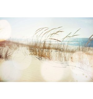 Fototapet vlies: Dună de nisip - 254x184 cm