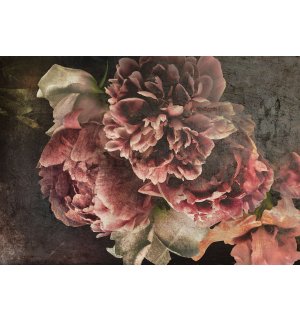 Fototapet vlies: Flori de bujor - 368x254 cm
