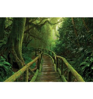 Fototapet vlies: O pasarela in jungla - 368x254 cm