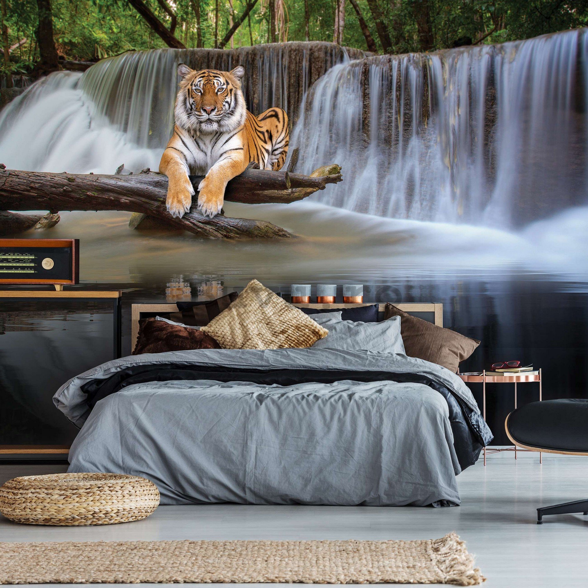 Fototapet vlies: Tigru la cascadă - 368x254 cm