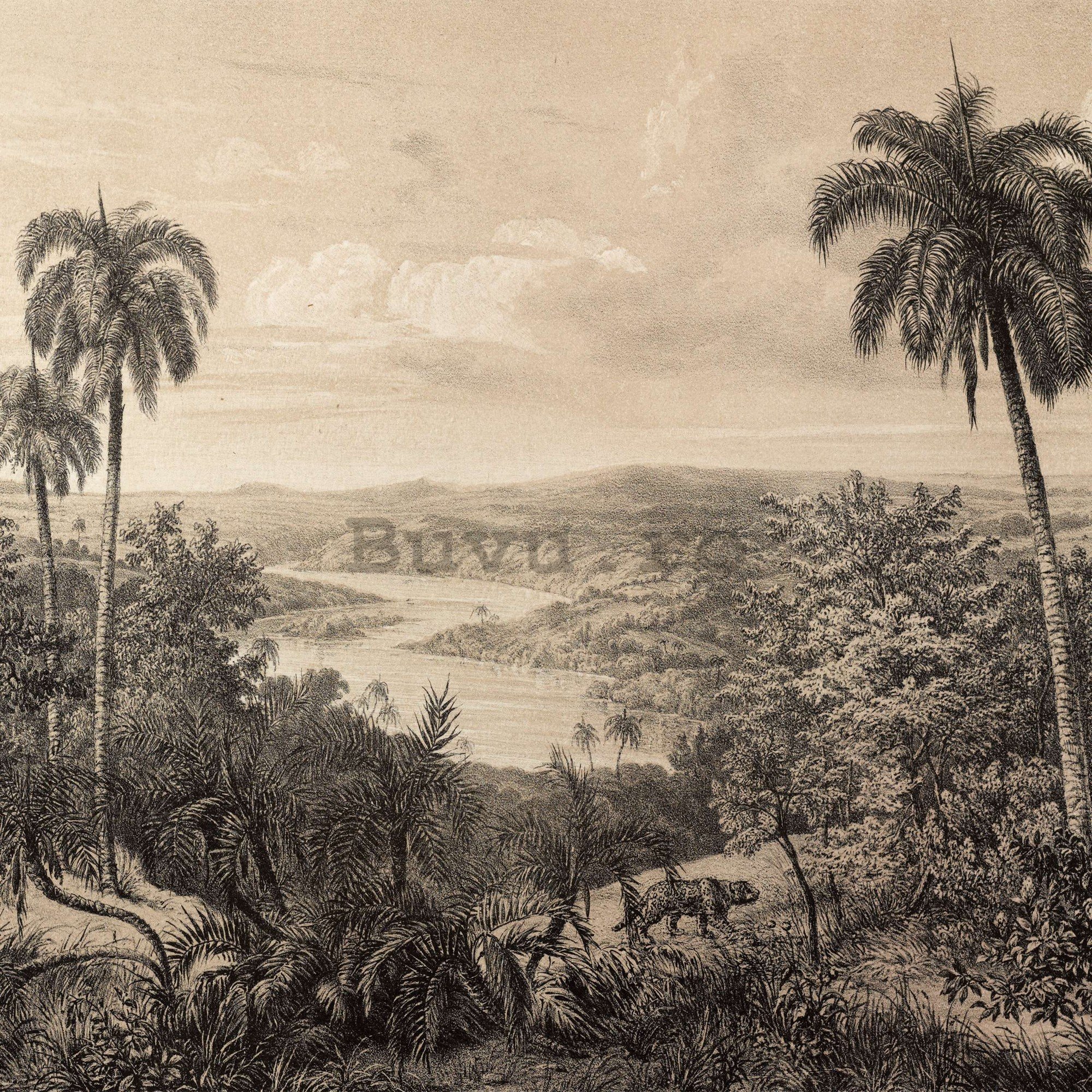 Fototapet vlies: Râul Amazon, litografie - 368x254 cm