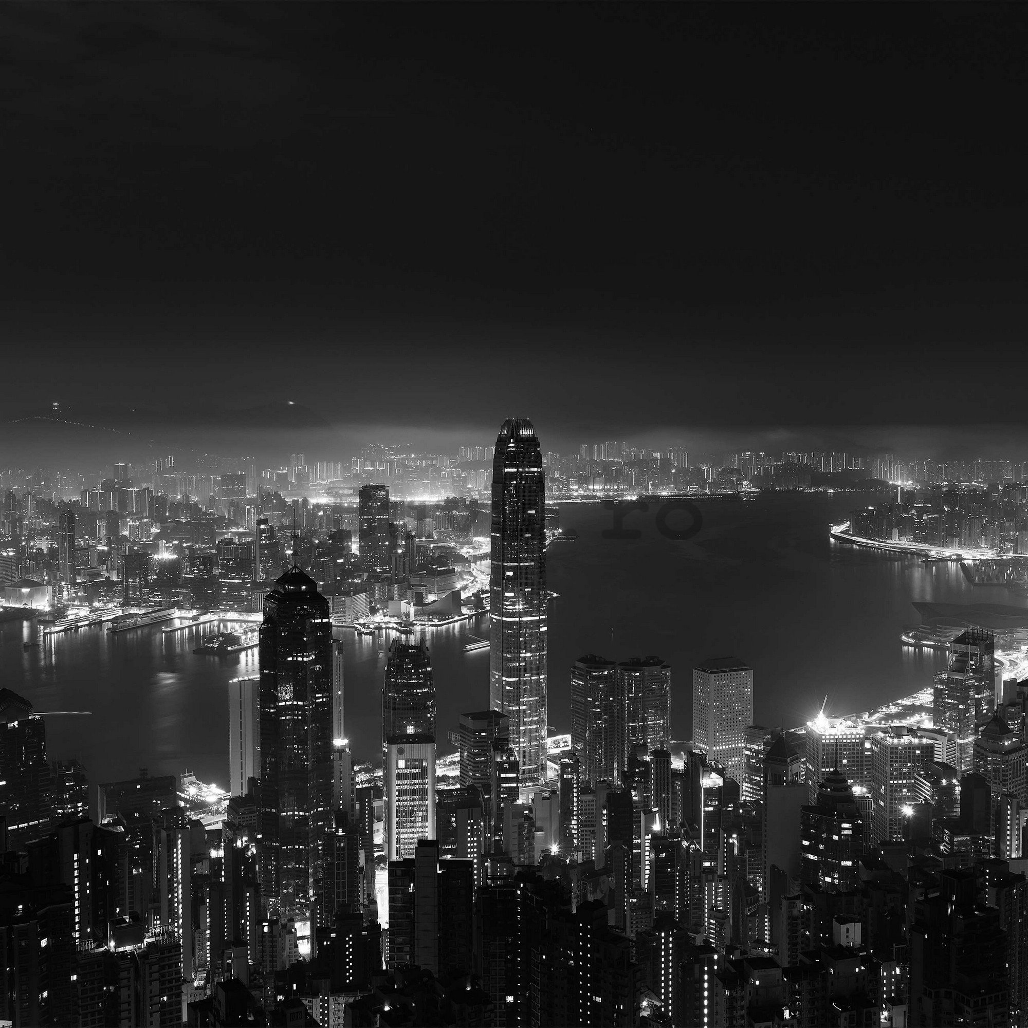 Fototapet vlies: Panorama unui oraș mare (alb - 368x254 cm
