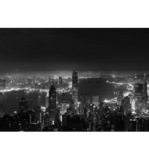 Fototapet vlies: Panorama unui oraș mare (alb - 368x254 cm