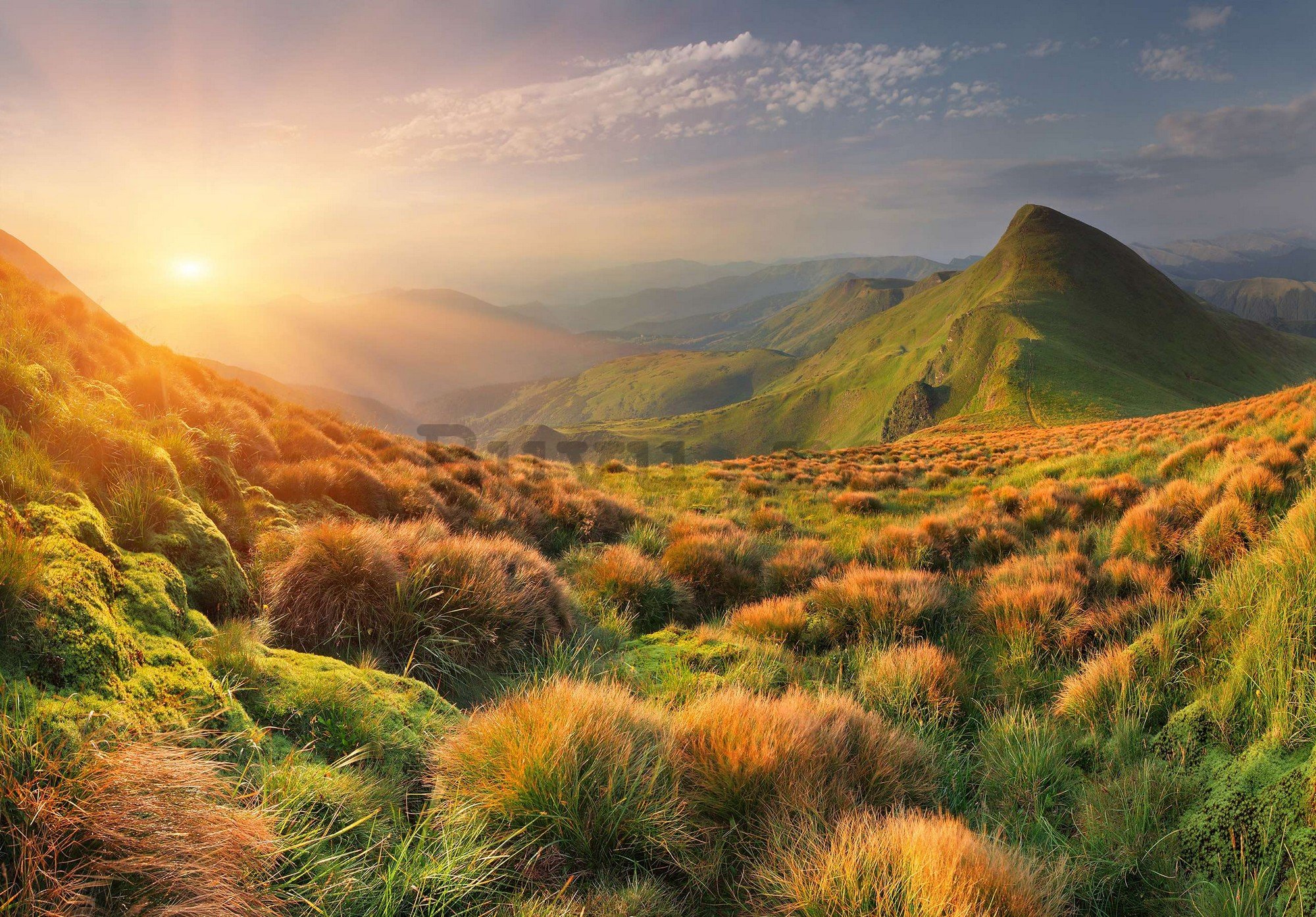 Fototapet vlies: Pajiște de munte la răsăritul soarelui - 368x254 cm